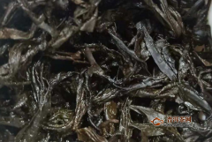 长期饮用安化黑茶好吗？安化黑茶的功效