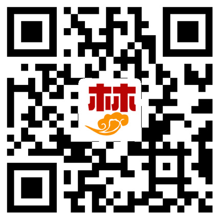 the qr code