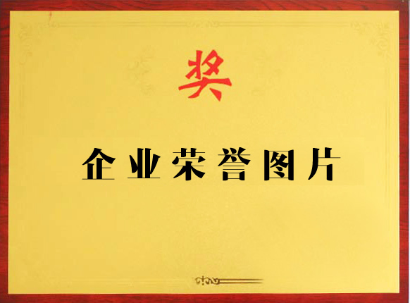 企业荣誉10