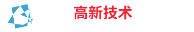 某某高新技术有限公司