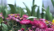 数据中心节能环保政策汇总分析：国家提出更高的要求