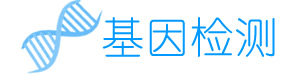 某某基因检测公司