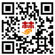 某某工程机械设备有限公司