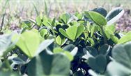 多路国资快马驰援 环保产业攻守转换秘诀在哪儿